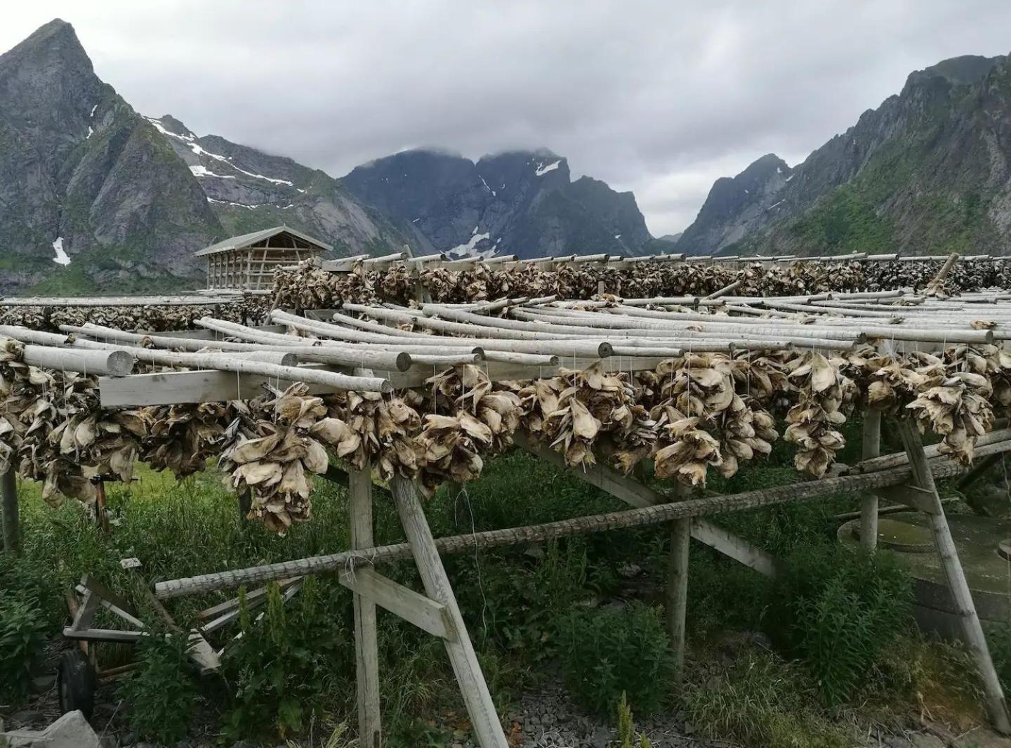 Lofoten Panoramic Luxury Home With Sauna 莫斯克内斯 外观 照片