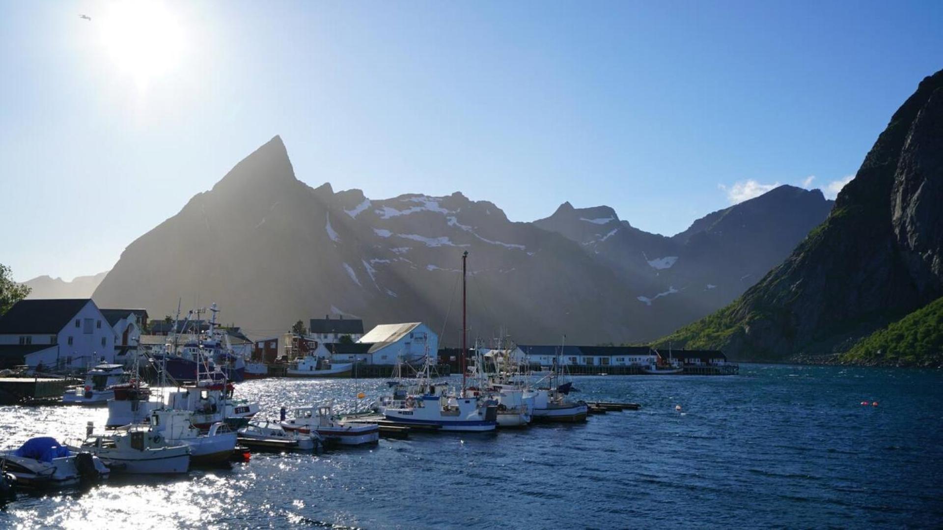 Lofoten Panoramic Luxury Home With Sauna 莫斯克内斯 外观 照片